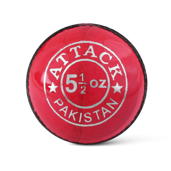 Cricket Hard Ball