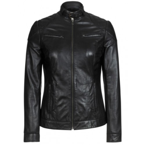 Women's Bomber Jacket Standard & Plus Sizes